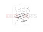 TRIUMPH THUNDERBIRD LT Service Kits