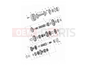 Triumph 2015 THUNDERBIRD LT Transmission