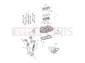 Triumph 2020 SCRAMBLER 1200 XE Cylinder Head & Valves