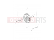 Front Wheel - Triumph Tiger 800 > 674841 TIGER 800 2014