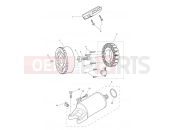 Starter & Alternator - Triumph TIGER 800 XCA 855532 > 2018