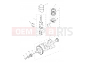 Crankshaft, Connecting Rods... - Triumph TIGER 800 XCA 855532 > 2018