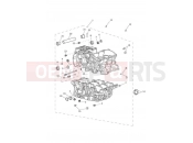 TRIUMPH TIGER 900 Crankcase & Fittings