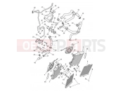 Triumph 2020 TIGER 900 GT Cooling System