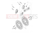 Triumph 2021 TIGER 900 GT Pro Front Brake Caliper & Discs