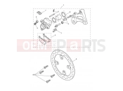 Triumph 2021 TIGER 900 Rally Rear Brake Caliper & Disc