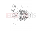 Triumph 2019 TIGER 1200 XR Crankcase & Fittings