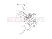 Triumph 2019 TIGER 1200 XR Throttles, Injectors...