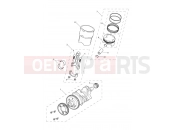 Triumph 2021 TIGER 1200 XRT Crankshaft, Connecting Rods...