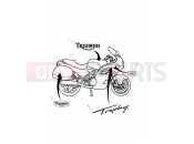 TRIUMPH TROPHY 29156 > Bodywork - Decals