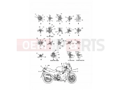 TRIUMPH TROPHY > 29155 Bodywork Fixings