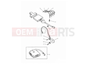 TRIUMPH TROPHY > 29155 Ignition System
