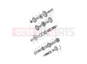 Triumph 2011 SCRAMBLER EFI Transmission