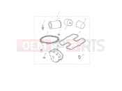 Triumph 2011 SCRAMBLER EFI Service Kit Eng No 456552