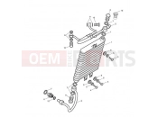 TRIUMPH SCRAMBLER EFI Oil Cooler
