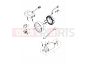 Triumph 2002 TT600 Alternator & Starter 171121 »