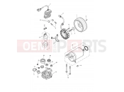 Triumph 2009 THRUXTON 900 EFI Starter & Alternator