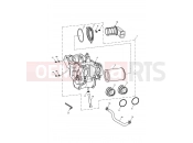 TRIUMPH THRUXTON 900 EFI Airbox