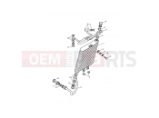 Cooling system - Triumph AMERICA CARBS 2005