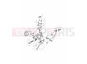 Front Brake Master Cyl & Hoses - Triumph AMERICA CARBS 2005