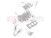 Cylinder Head & Valves - Triumph Tiger 850 Sport 2021
