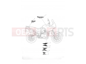 Triumph 2006 TIGER 955i 198875 > Decals