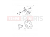 TRIUMPH Tiger 1050 Rear Brake Caliper & Disc