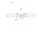TRIUMPH Tiger 1050 Oil Pump/Drive