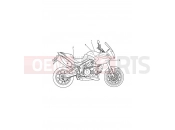 Triumph 2011 Tiger 1050 Decals
