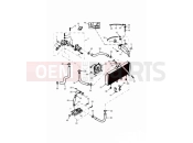Triumph 2001 DAYTONA 595 / 955i Cooling System