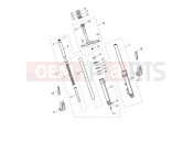 TRIUMPH STREET CUP Front Forks & Lower Yoke