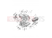 TRIUMPH STREET CUP Crankcase & Fittings