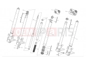DUCATI Monster 1100 Front forks