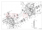 DUCATI 2019 Diavel HALF-CRANKCASES PAIR [MOD:DVL1260]