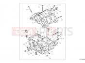 DUCATI 2021 Panigale Superleggera V4 HALF-CRANKCASES PAIR [MOD:PANV4SL]