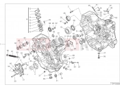 DUCATI 2023 Monster HALF-CRANKCASES PAIR
