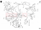 DUCATI 2002 Superbike 998 RS WIRING HARNESS » WIRING HARNESS