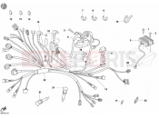 DUCATI 2002 Monster S4 Fogarty WIRING HARNESS » WIRING HARNESS