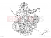 Engine electric system - Ducati Diavel V4 2023