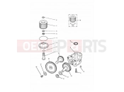 Triumph 1995 THUNDERBIRD Lubrication System