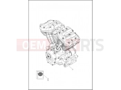 ENGINE ASSEMBLY - Milwaukee-Eight 117Â® engine - Harley-Davidson CVO ULTRA LIMITED - FLHTKSE 2021
