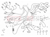 DUCATI 2001 Superbike 996 R II WIRING HARNESS » WIRING HARNESS