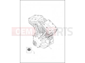 Harley-Davidson 2015 TOURING ROAD KING  - FLHR ENGINE ASSEMBLY - TWIN CAM 103â¢