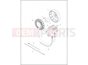 Harley-Davidson 2014 TOURING ULTRA LIMITED  - FLHTK ALTERNATOR & REGULATOR