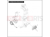 Harley-Davidson 2010 DYNA DYNA STREET BOB  - FXDB ALTERNATOR & REGULATOR