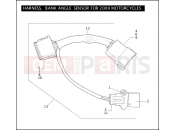 Harley-Davidson 2009 SIDECAR FLTR SIDECAR  - SIDECAR FOR FLTR HARNESS, BANK ANGLE SENSOR FOR 2009 MOTORCYCLES
