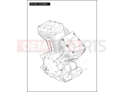 Harley-Davidson 2009 SOFTAIL HERITAGE SOFTAIL  - FLST ENGINE ASSEMBLY - TWIN CAM 96â¢