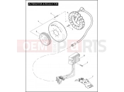 Harley-Davidson 2007 SPORTSTER NIGHTSTER  - XL1200N ALTERNATOR & REGULATOR
