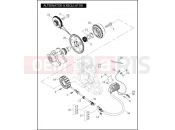 Harley-Davidson 2007 VRSC VRSCDX NIGHT ROD SPECIAL  - VRSCDX ALTERNATOR & REGULATOR