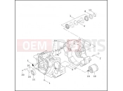 Harley-Davidson 2001 SOFTAIL HERITAGE SPRINGER  - FLSTSI CRANKCASE & ENGINE OIL FILTER - Twin Cam 88Bâ¢